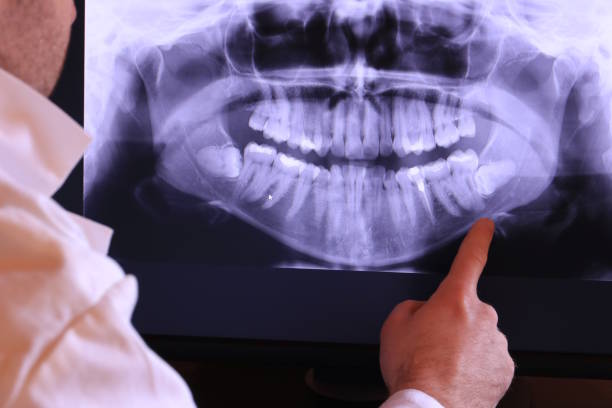 Best Emergency X-Rays and Diagnostics in Lakeview, MI
